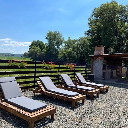Casa Cu Flori Maramures Baia Mare Exterior foto